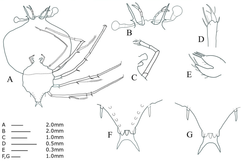 Fig. 5.