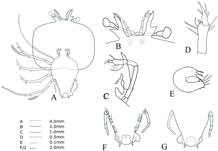 Fig. 15.