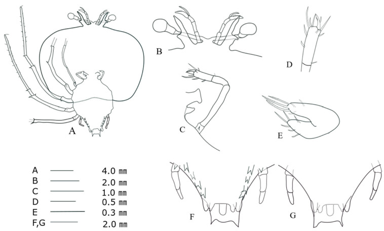 Fig. 14.