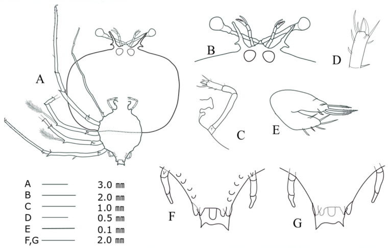 Fig. 13.