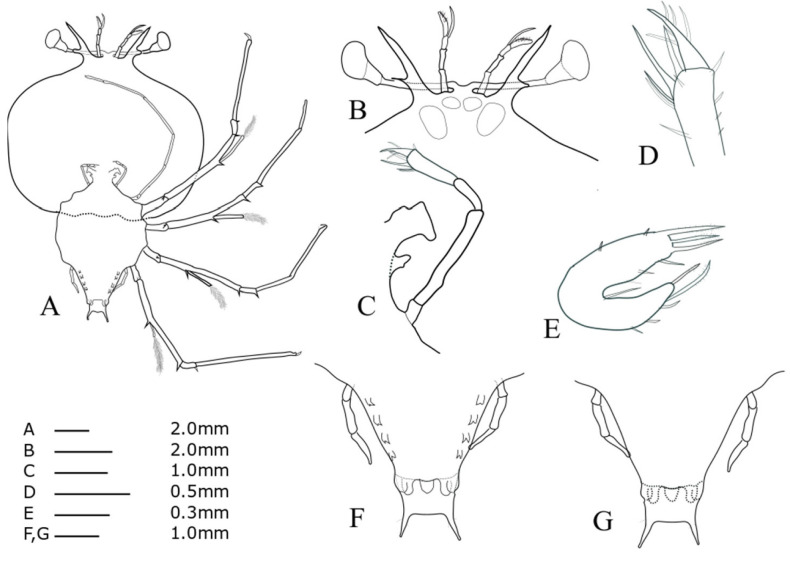 Fig. 6.