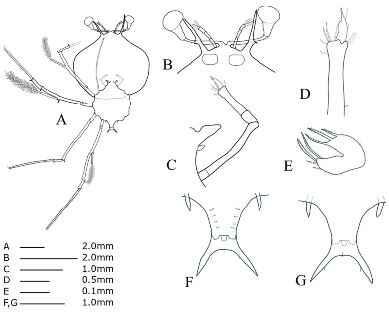 Fig. 4.