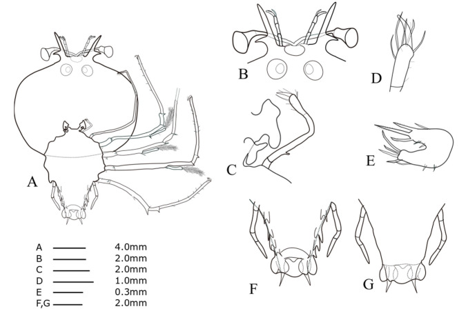 Fig. 7.