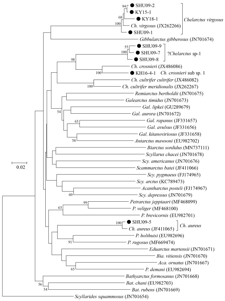 Fig. 2.