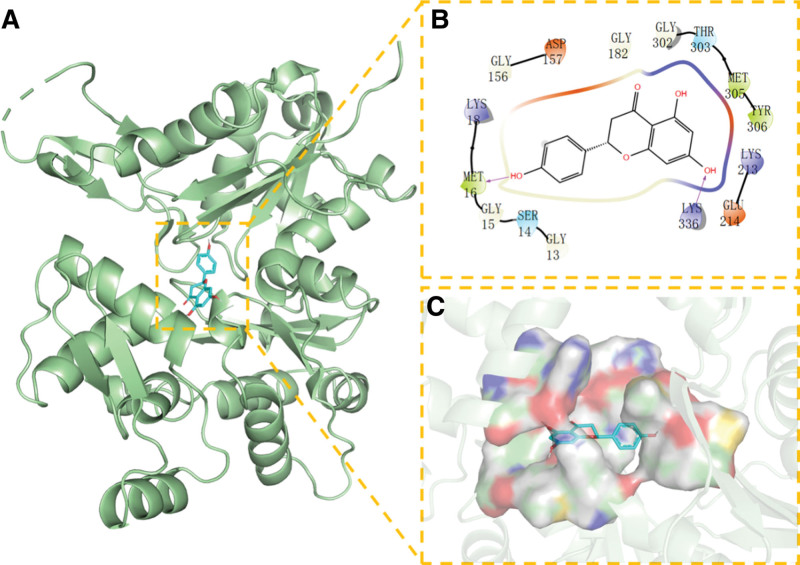 Figure 11.