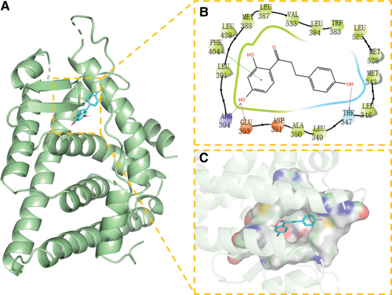 Figure 10.