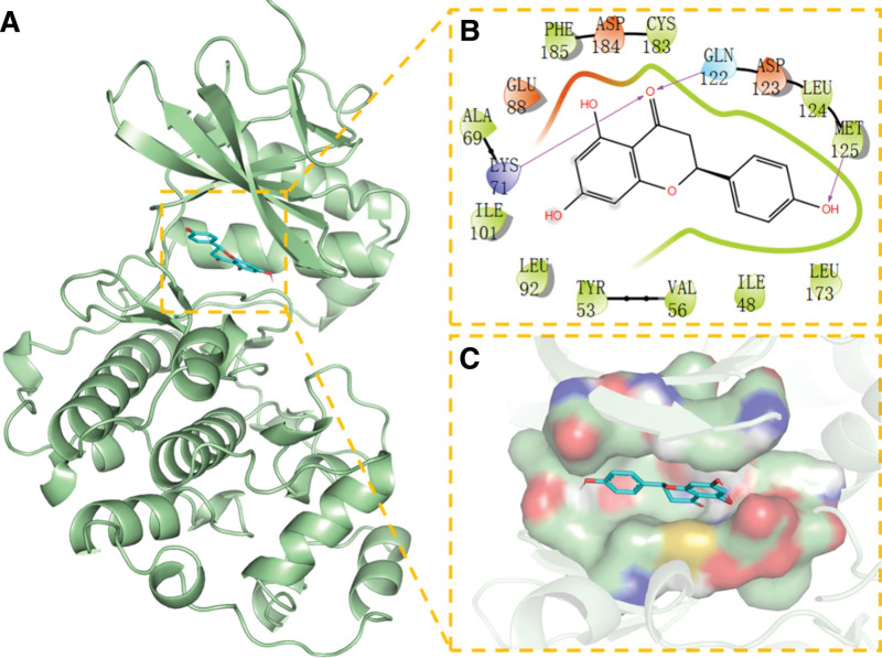 Figure 12.