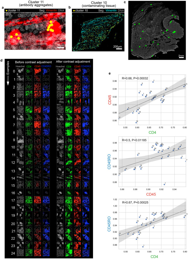 Extended Data Fig. 3 ∣