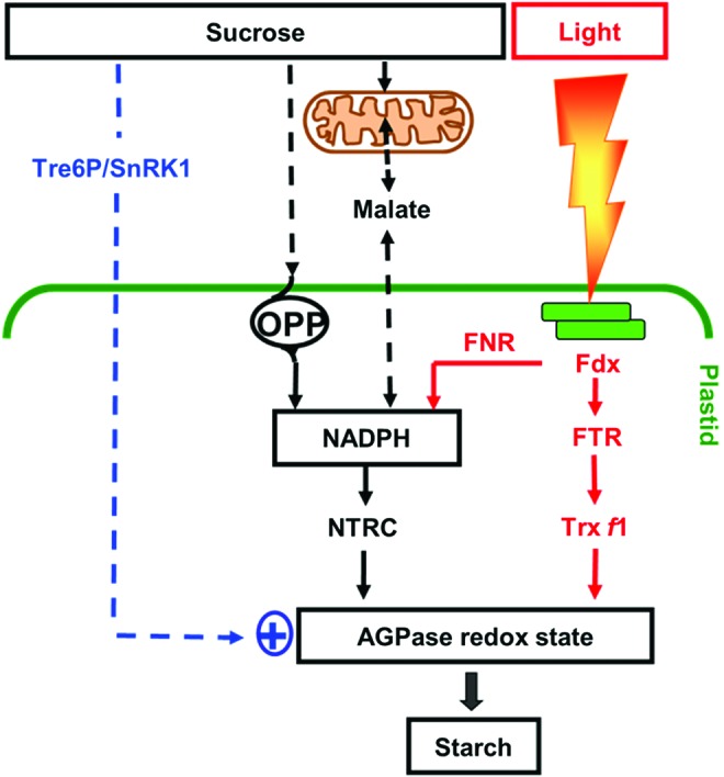 FIG. 4.