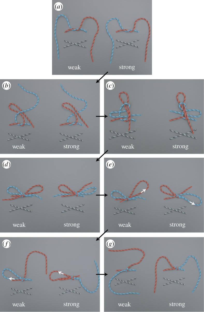 Figure 14.