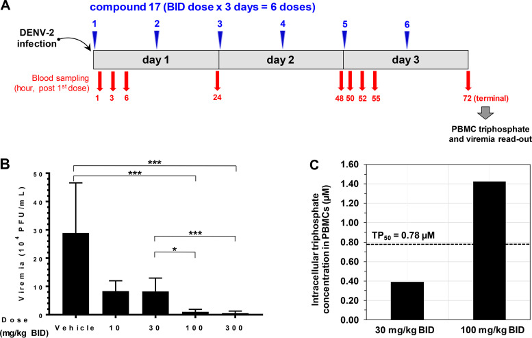 FIG 6