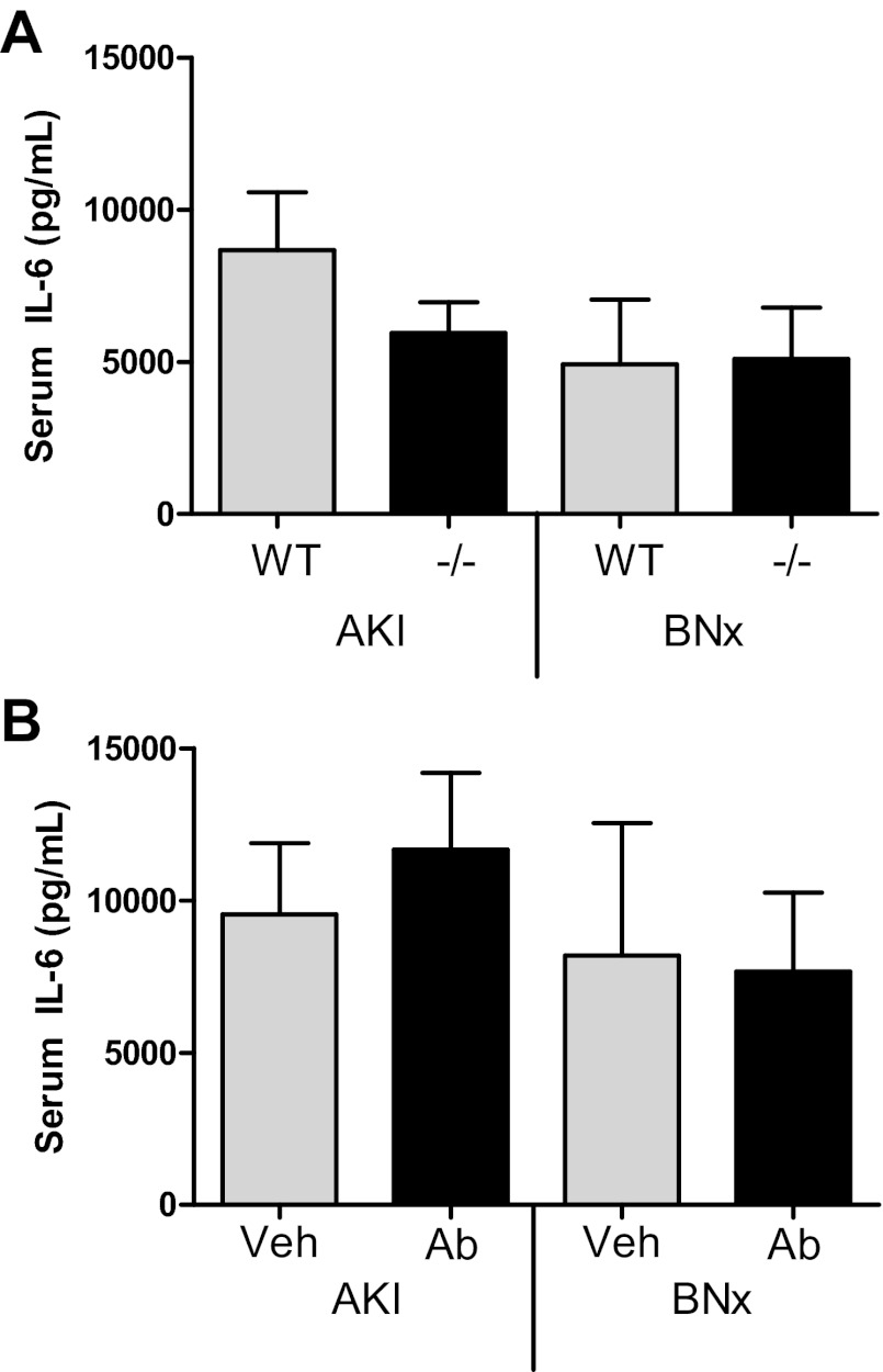 Fig. 8.