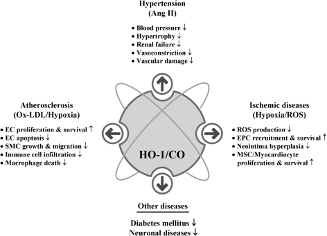 FIG. 10.