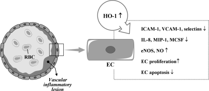 FIG. 5.