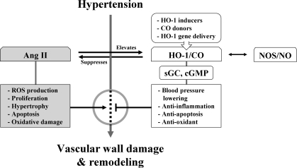 FIG. 7.