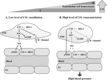 FIG. 13.