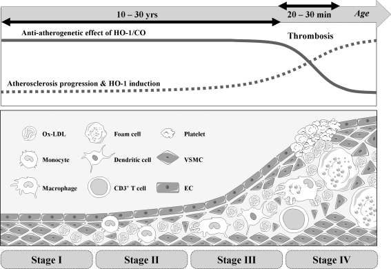 FIG. 8.