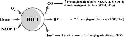 FIG. 11.