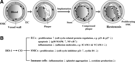 FIG. 14.