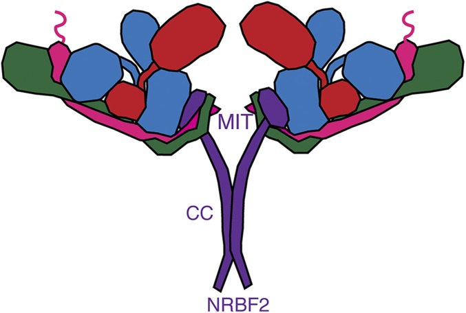 Fig. 6.