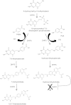 FIGURE 3.