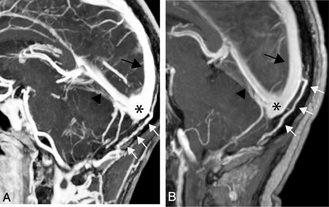 Fig 1.