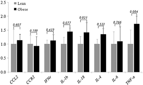 Fig. 2