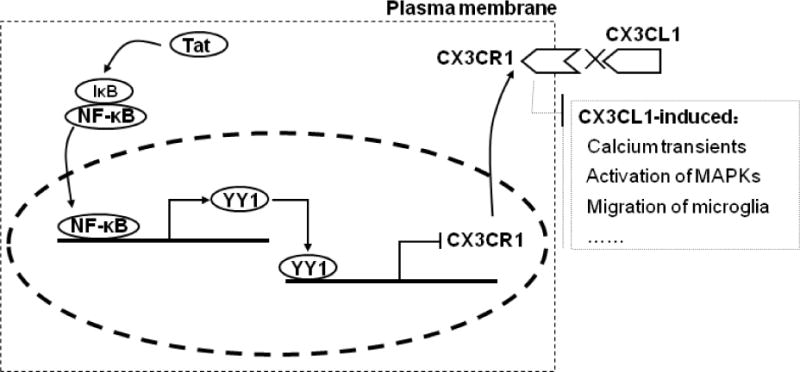 Fig. 8