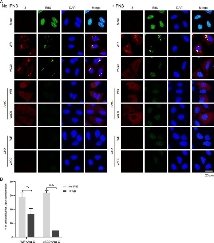 FIG 6