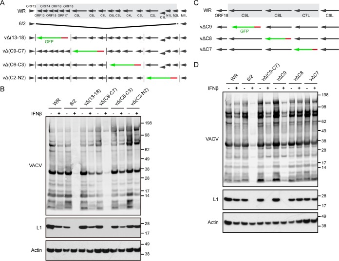 FIG 2