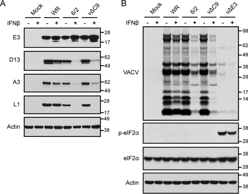 FIG 3