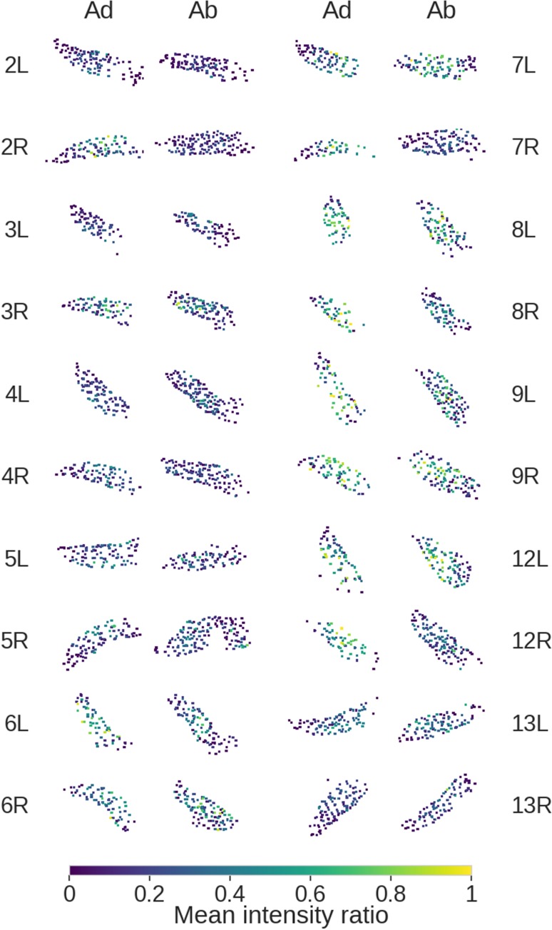 Figure 3—figure supplement 1.