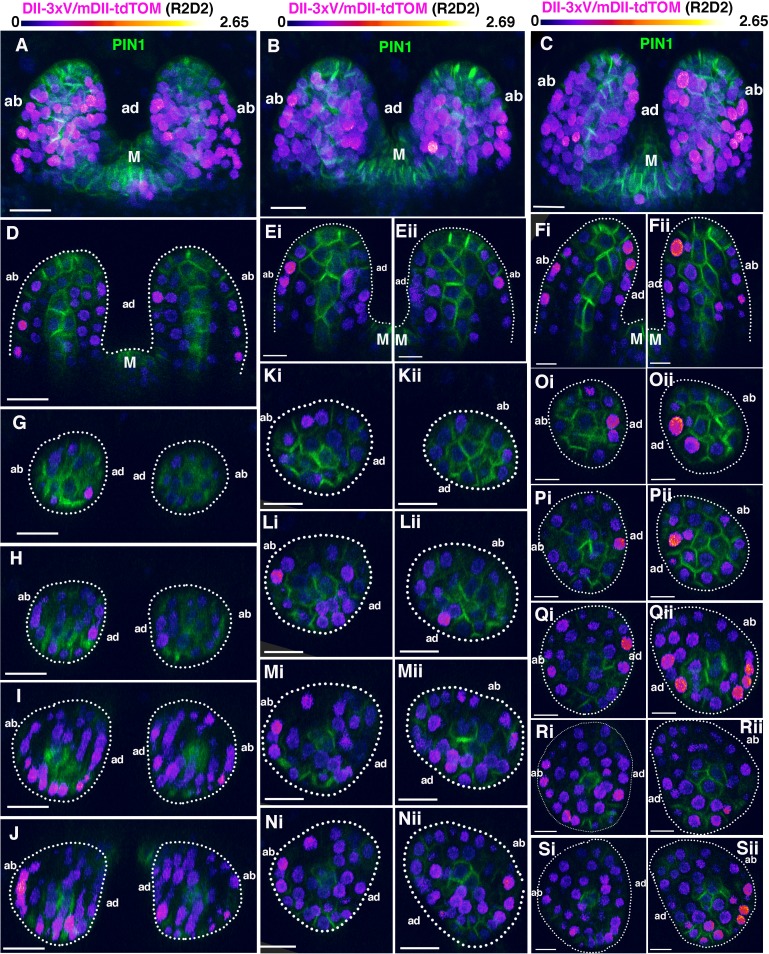 Figure 2—figure supplement 2.