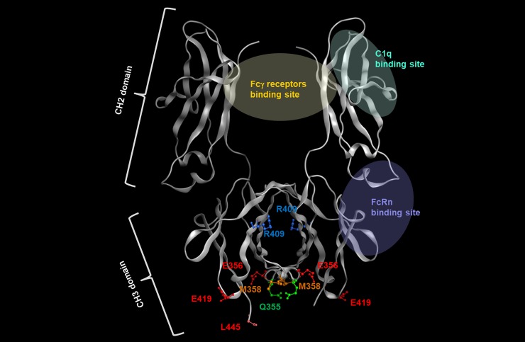 Fig 6