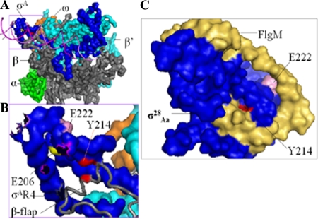 FIG. 7.