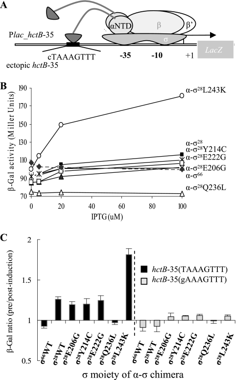 FIG. 6.