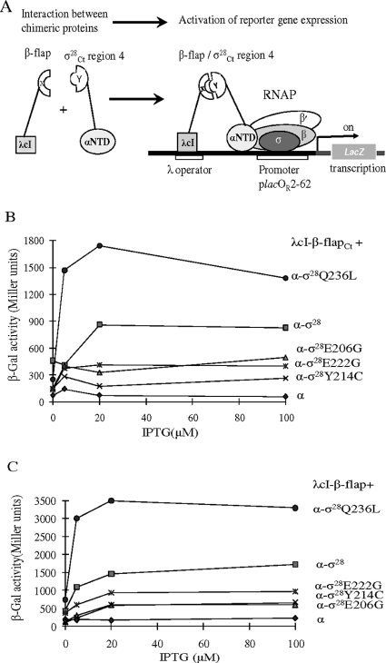 FIG. 5.