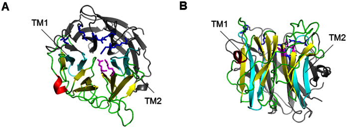 Figure 9