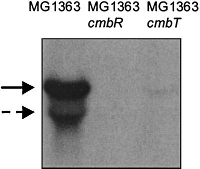 FIG. 6.