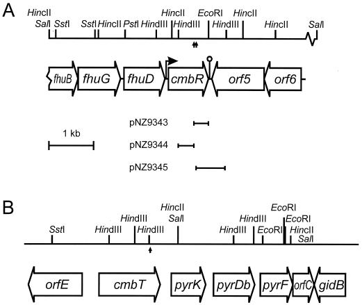 FIG. 5.