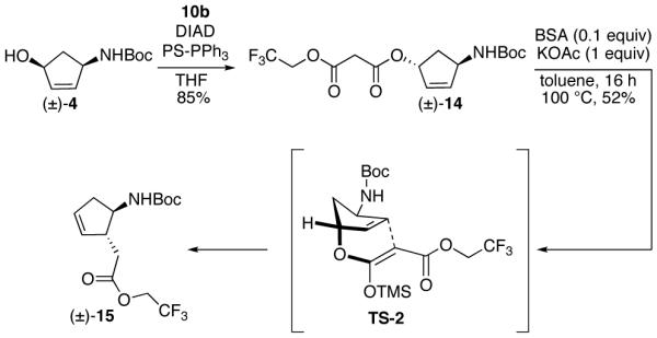 Scheme 5