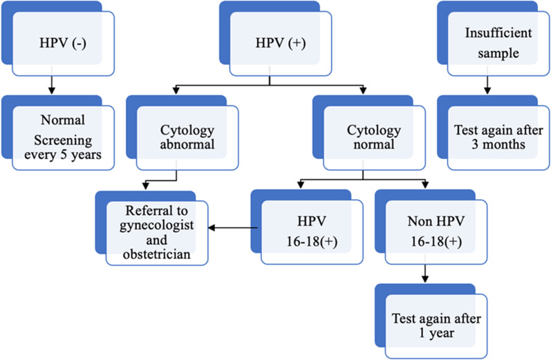 Results from a cervical cancer screening program in Samsun, Turkey - PMC