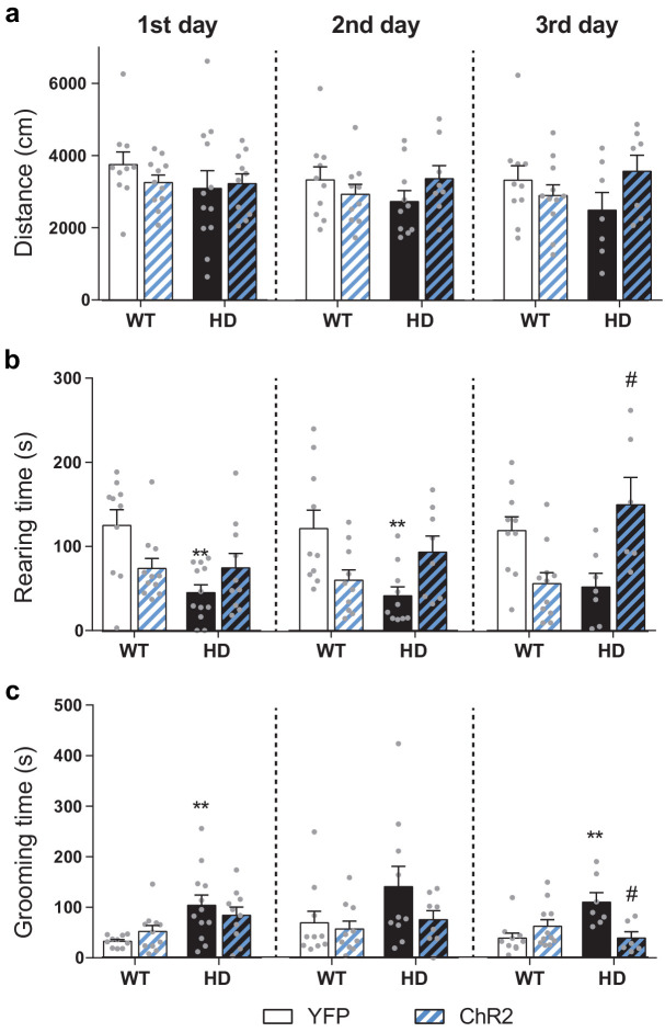 Figure 4—figure supplement 2.