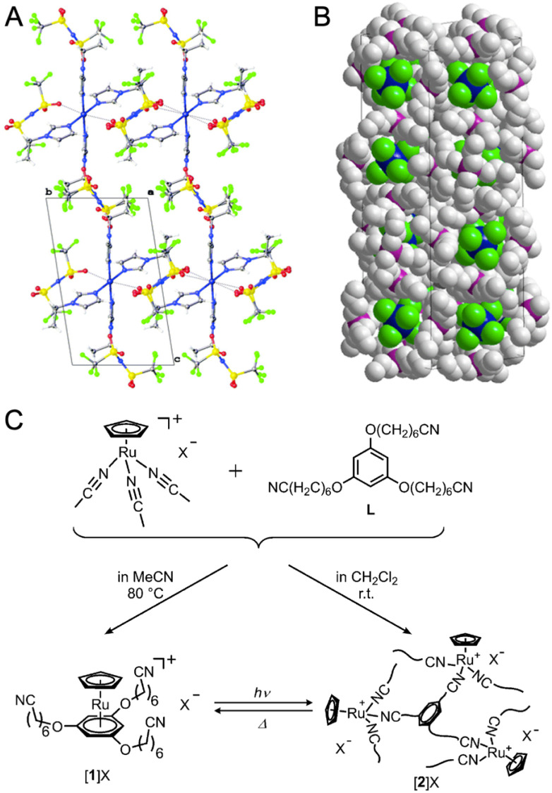 Fig. 10