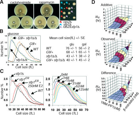 Figure 6.