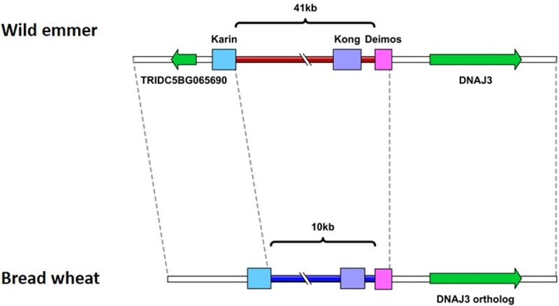 Fig 4