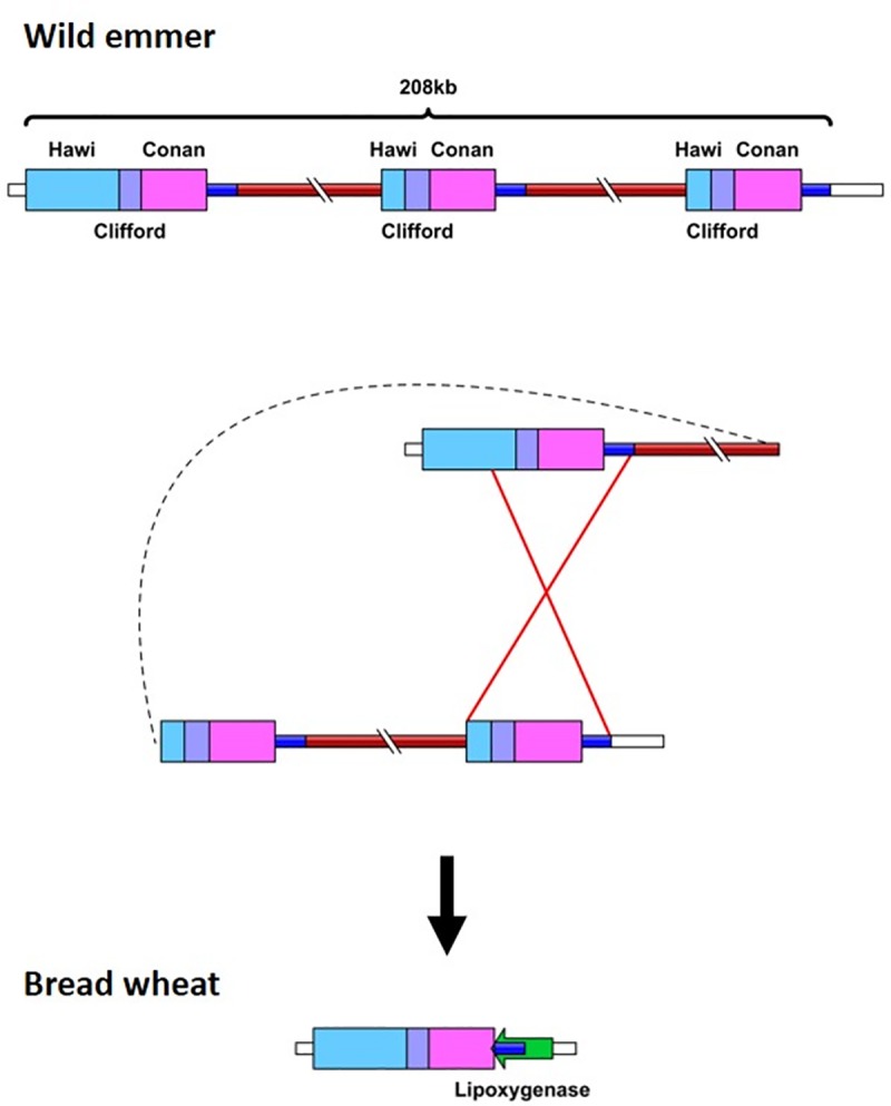 Fig 1