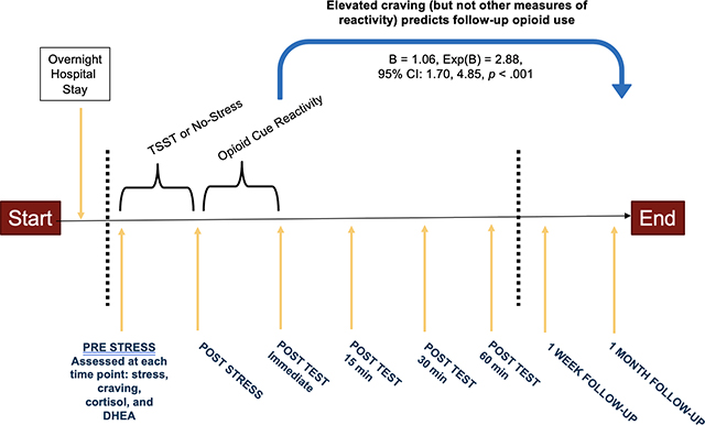 graphic file with name nihms-1708663-f0001.jpg