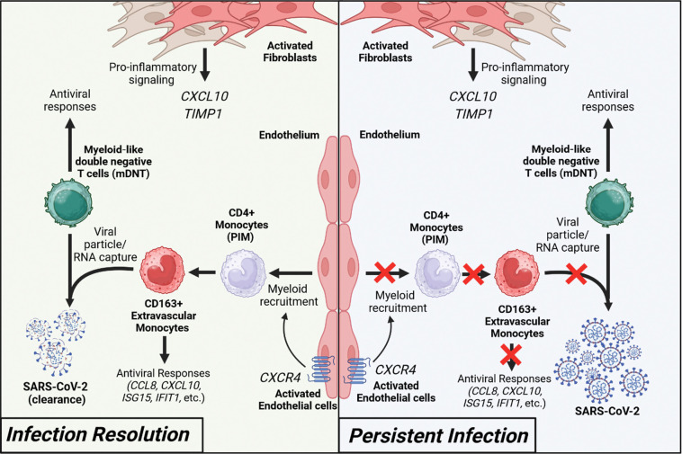 Figure 12.