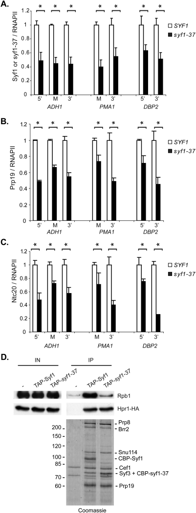 Figure 6.